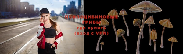 ПСИЛОЦИБИНОВЫЕ ГРИБЫ Алексин