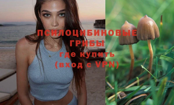 ПСИЛОЦИБИНОВЫЕ ГРИБЫ Алексин