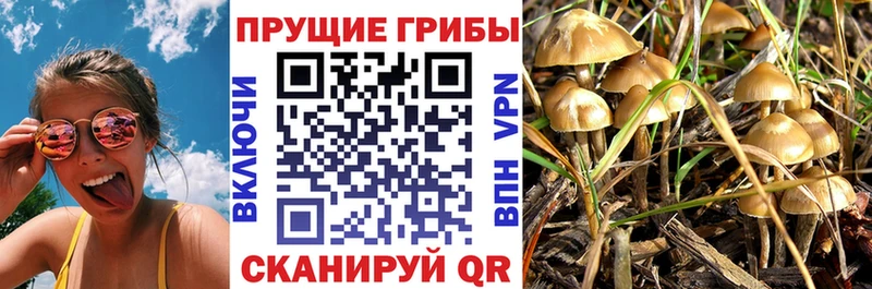 Галлюциногенные грибы прущие грибы  Томмот 